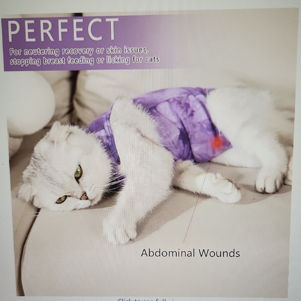 Pet Recovery Suit Spay surgery, abdominal wounds etc Better than wearing a cone